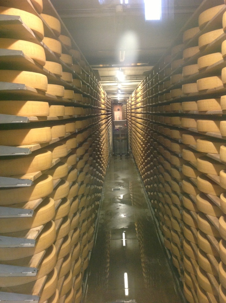 Rows of cheese at La Maison du Gruyere, Gruyere, Switzerland
